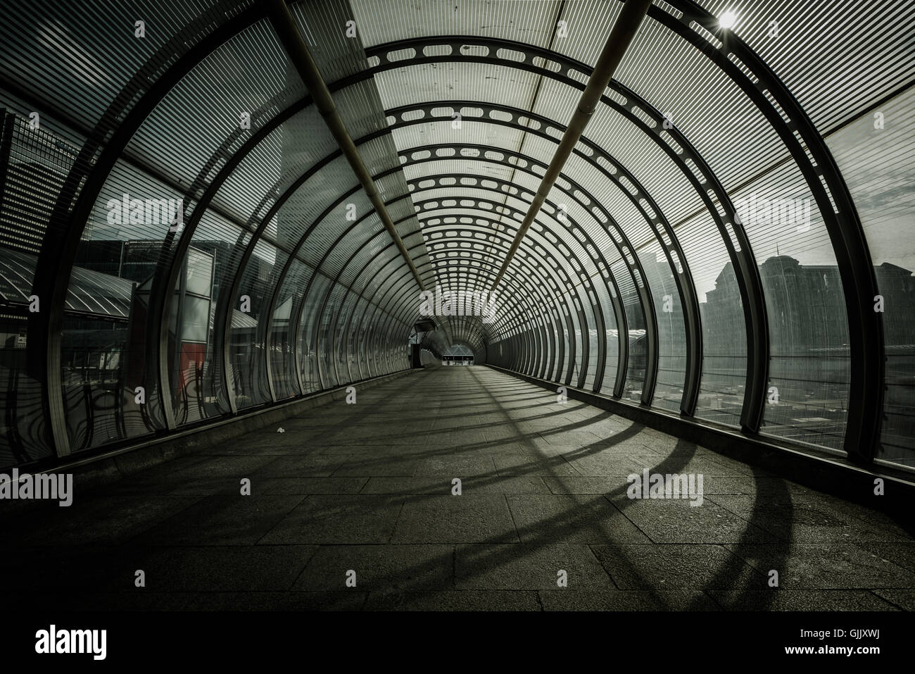 Tunnel di pioppo / passeggiata di DLR Docklands Light Railway Station, London, Regno Unito Foto Stock