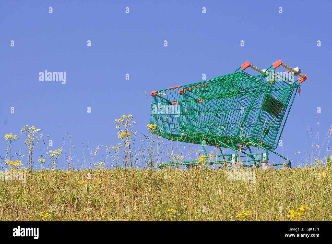 Shopping greenfield Foto Stock