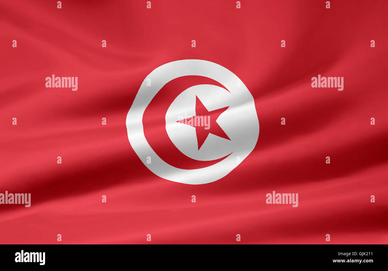 bandierina tunisina Foto Stock