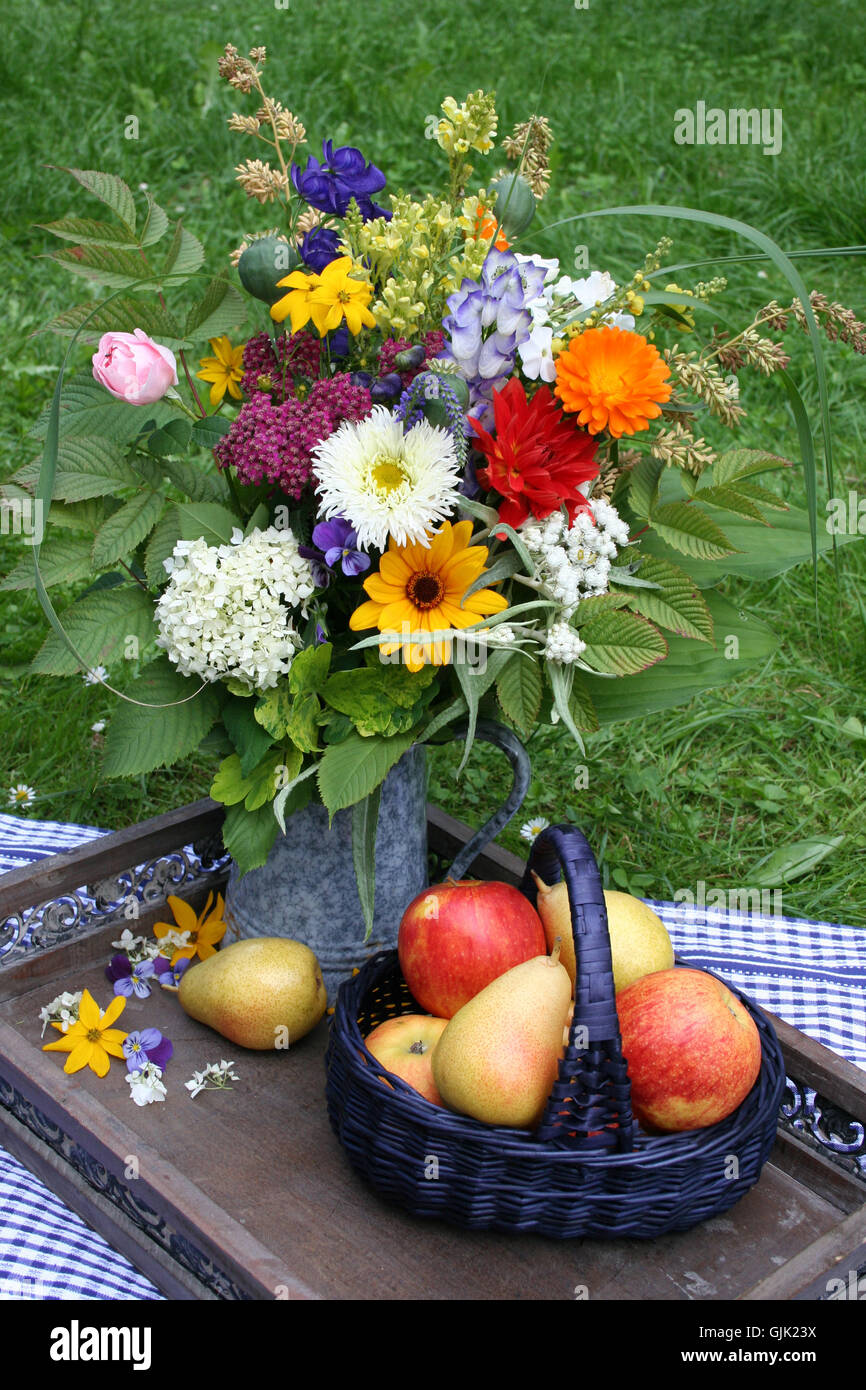 Blossoms mele apple Foto Stock