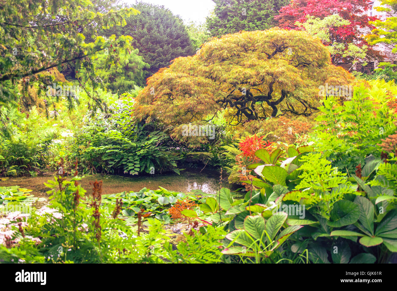 Giardini di Sizergh nel distretto del Lago Foto Stock