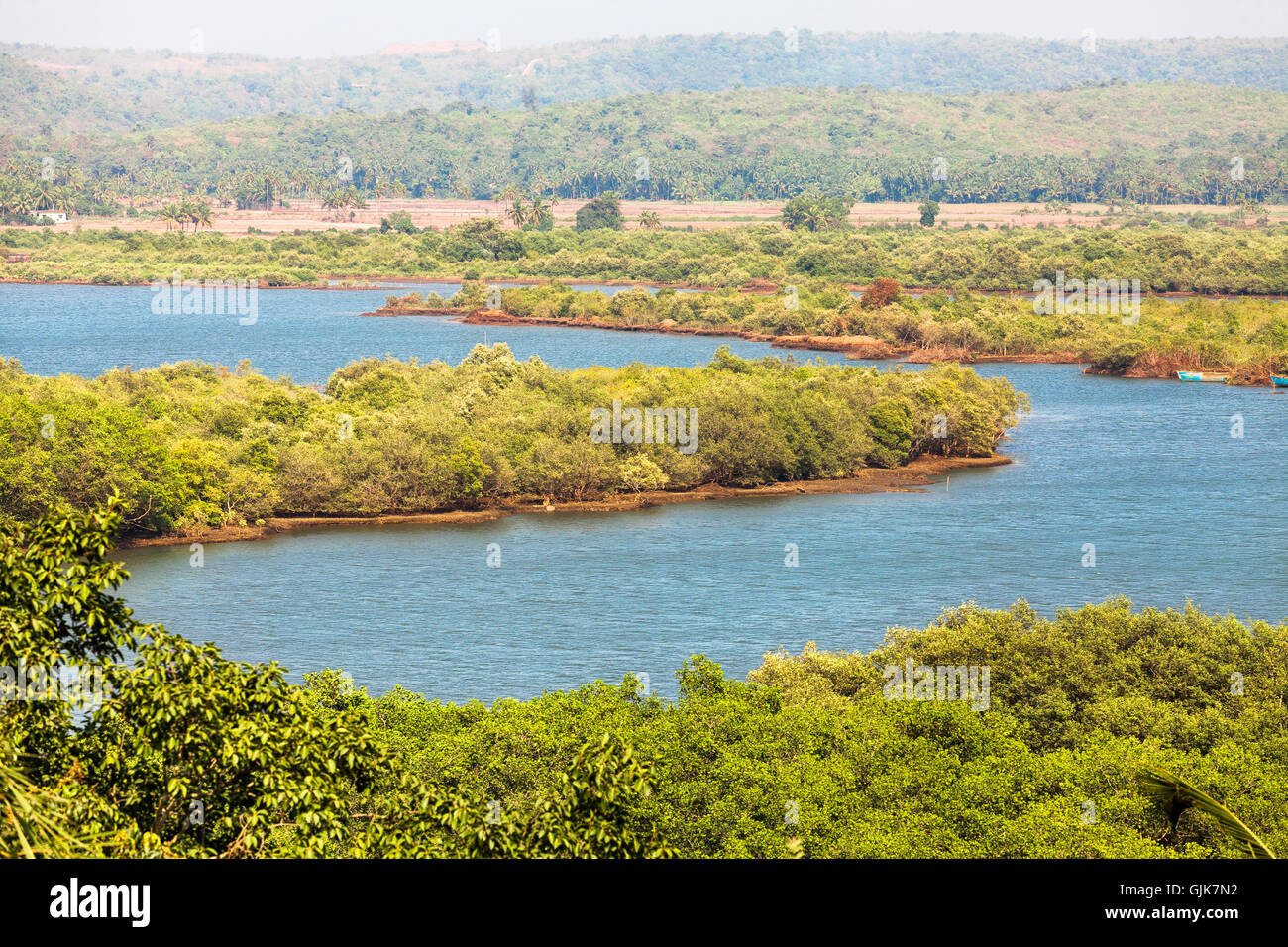 Goa terekhol paesaggio fluviale Foto Stock