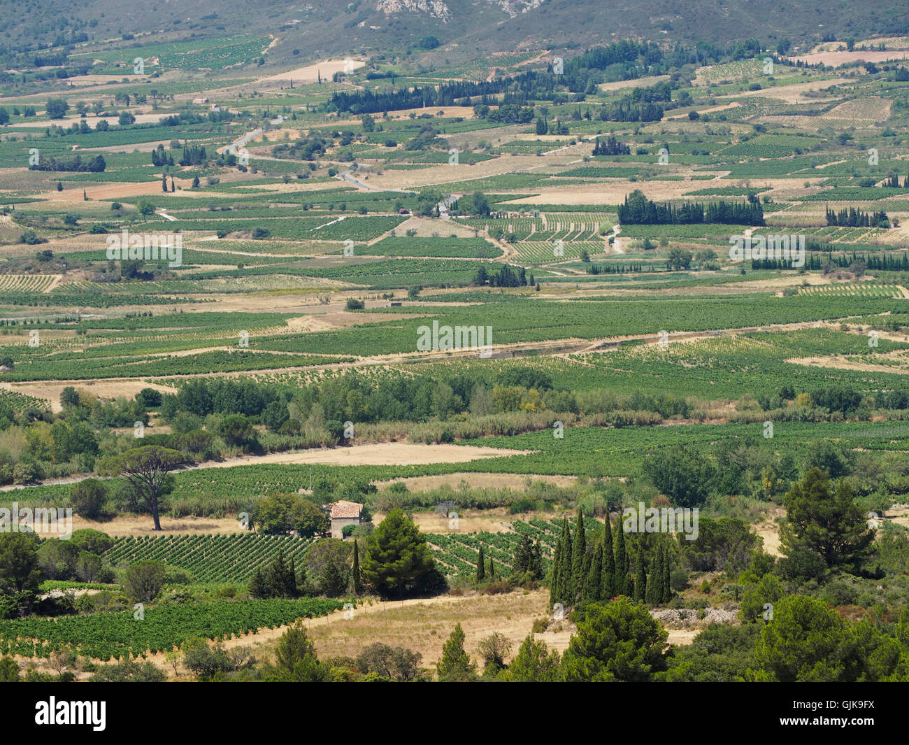 Il Corbieres vino nella regione Languedoc Roussillon nel sud della Francia Foto Stock