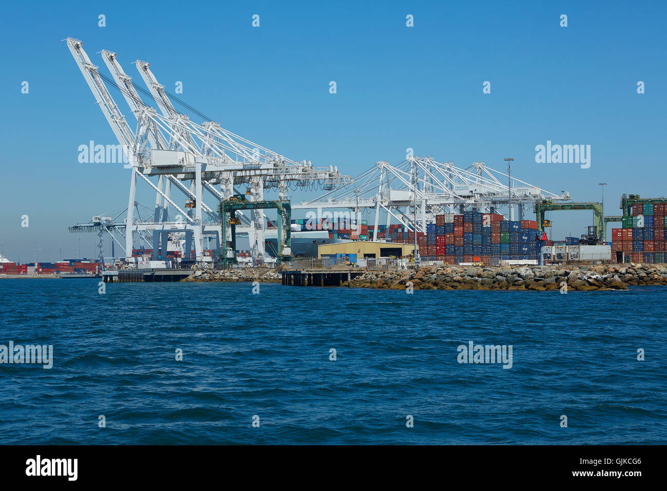 Gantry cranes (contenitore gru) alla lunga spiaggia di terminal per container, Los Angeles, California, USA. Foto Stock