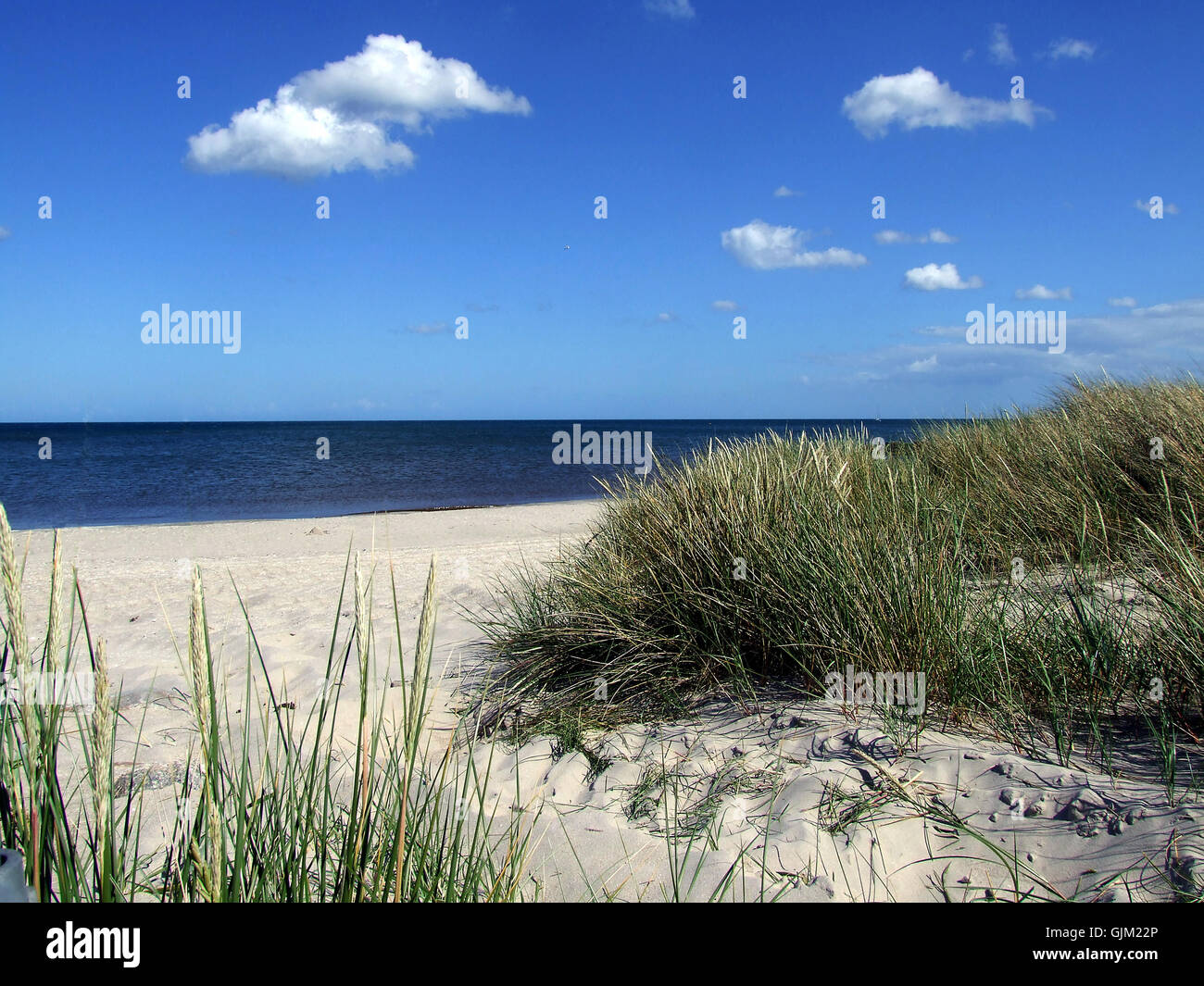 Dune di sabbia sul mar Baltico Foto Stock