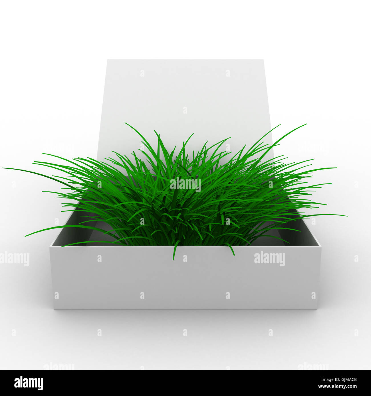 Aprire la scatola con l'erba. Isolato immagine 3D Foto Stock