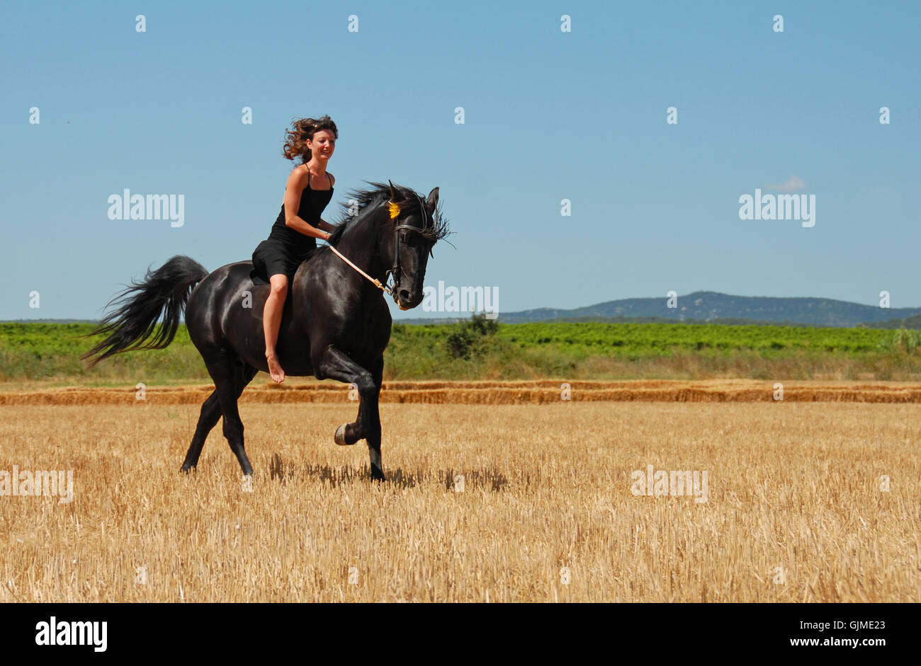 Donna cavallo nero Foto Stock