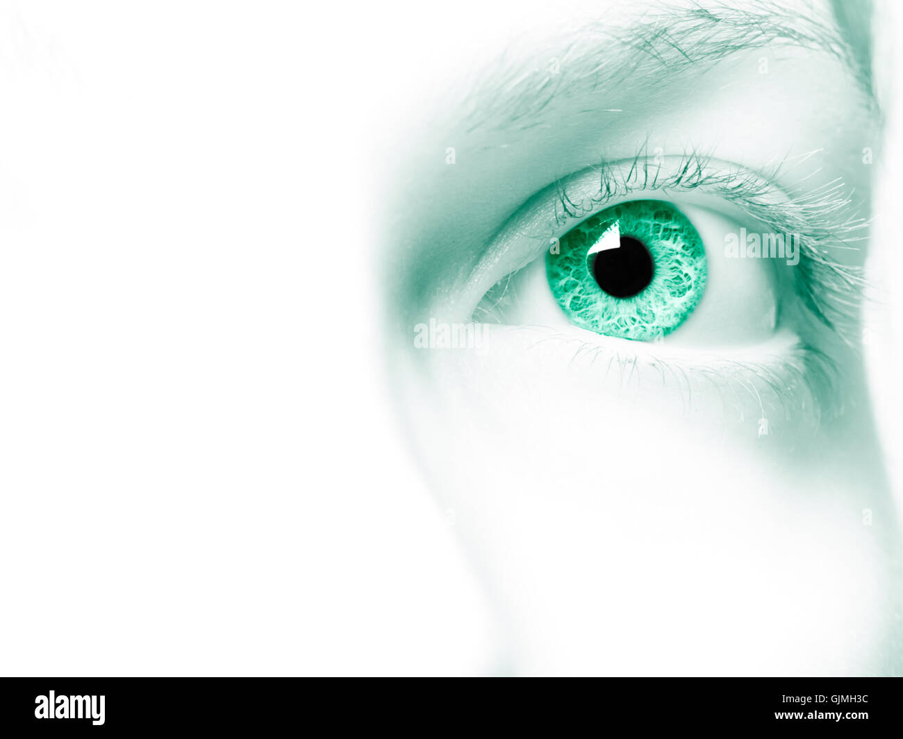 Femmina organo occhio Foto Stock