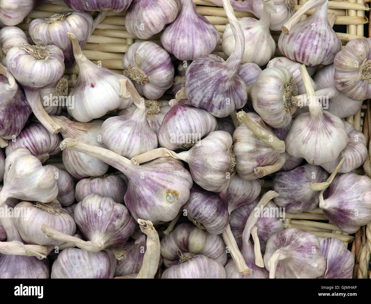 Spice spezie aglio Foto Stock