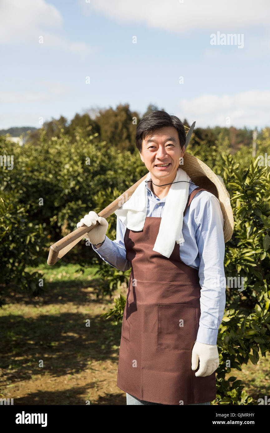 Middleaged Asian agricoltore sorridente sul campo Foto Stock