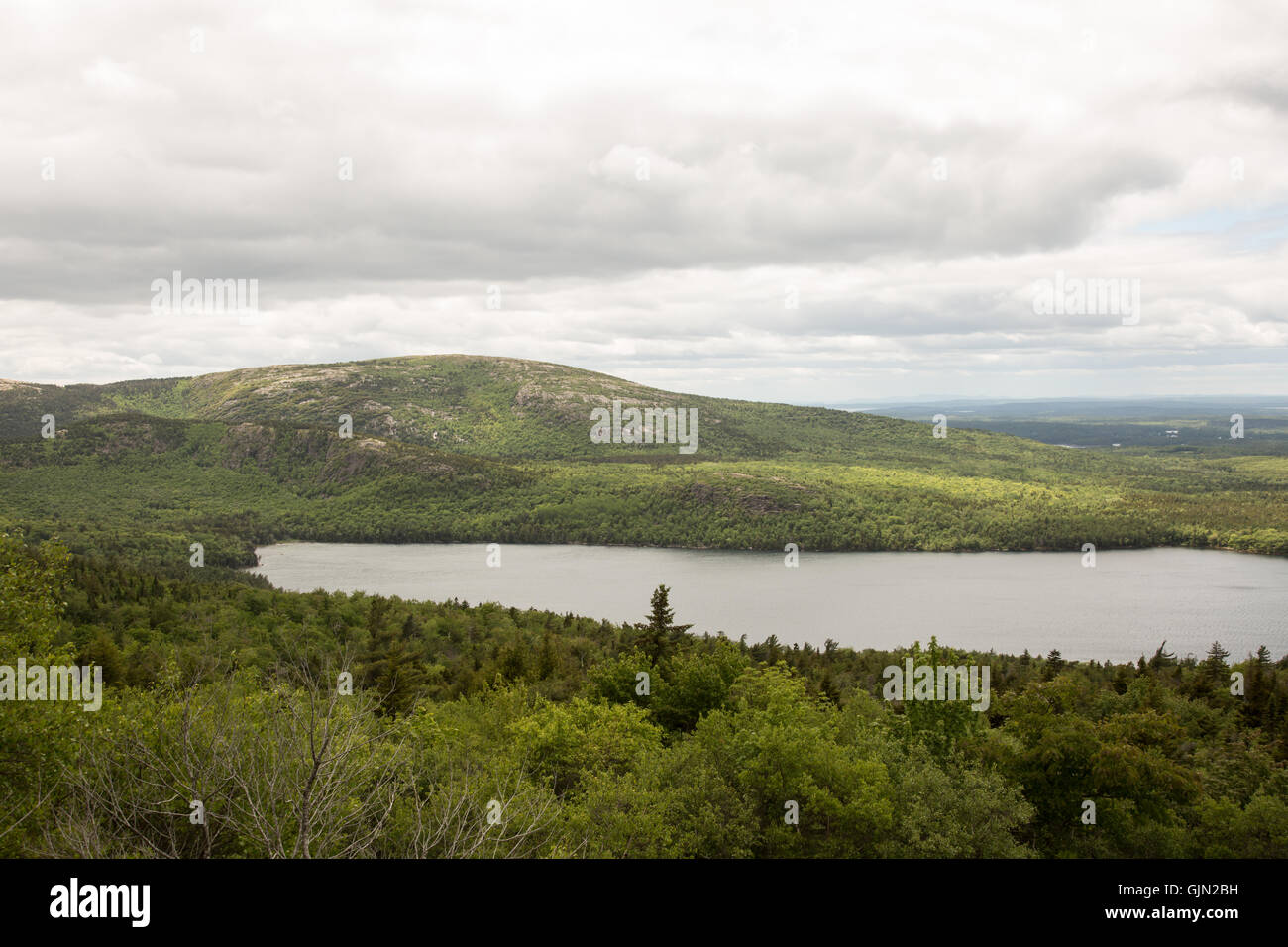 Viste dal loop di parco in parco nazionale di Acadia. Foto Stock