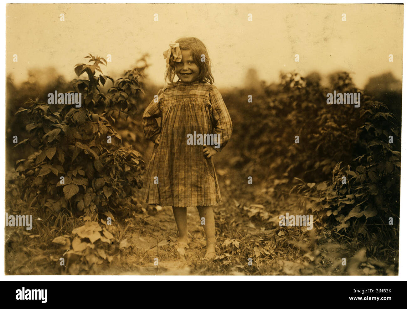 Lewis Hine, Laura Petty, di un 6 anno di età berry picker su Jenkins farm, Rock Creek, Maryland, 1909 Foto Stock