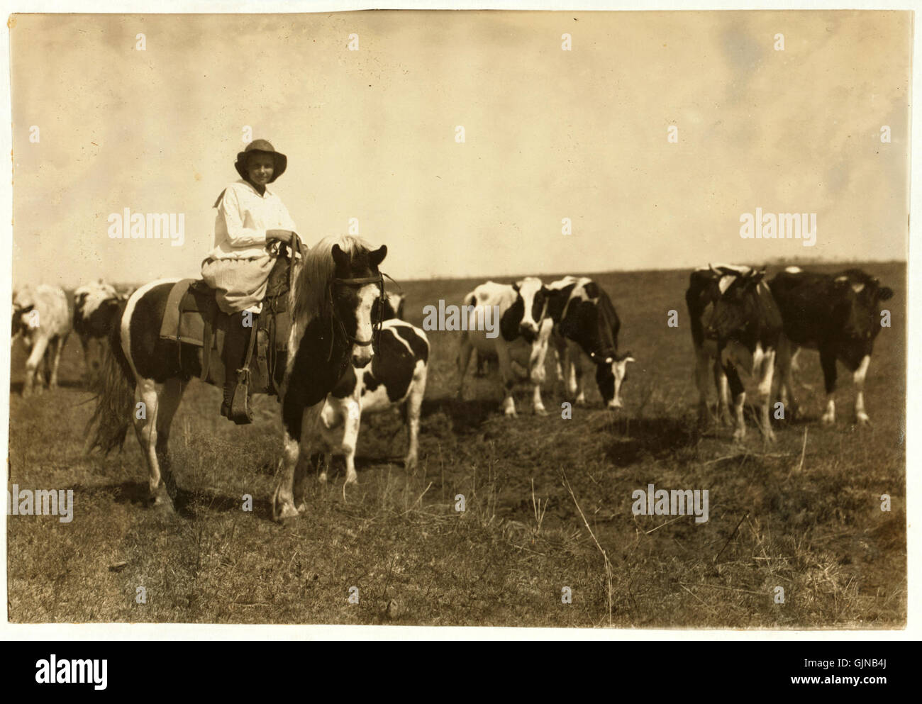 Lewis Hine, Sarah miscelatore (crutcher), 12 anni bovini herder, Lawton, Oklahoma, 1917 Foto Stock