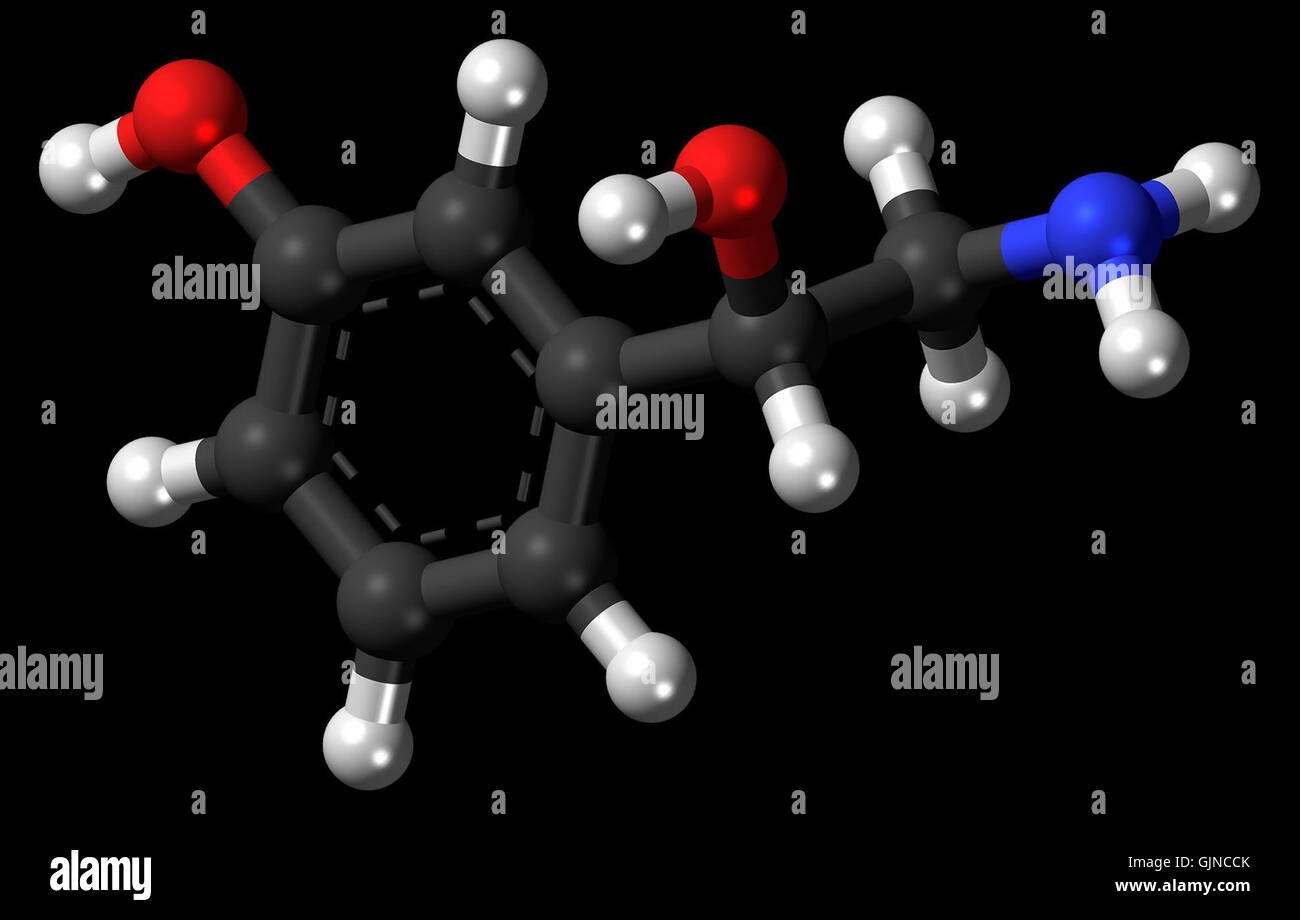Questo modello scientifico della molecola di Norfenefrina è rappresentato come una struttura a sfera 3D, evidenziandone i componenti molecolari. Il modello offre una panoramica dettagliata della struttura chimica e dei collegamenti atomici in un formato visivamente coinvolgente. Foto Stock