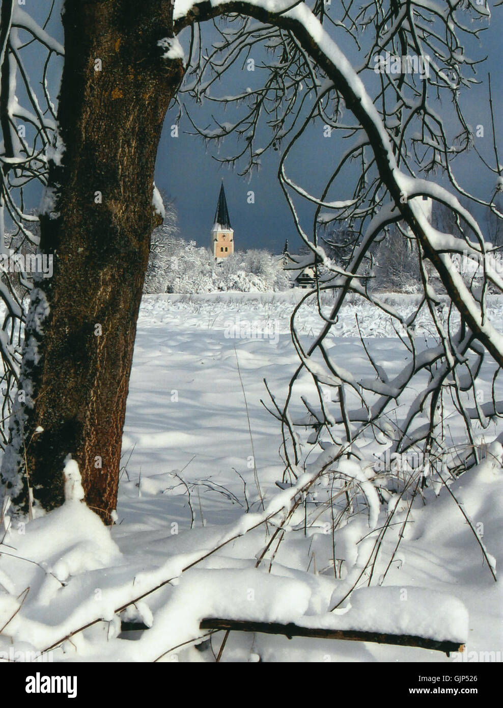 1 08 02 Aufnahme Januar 2007 Foto Stock