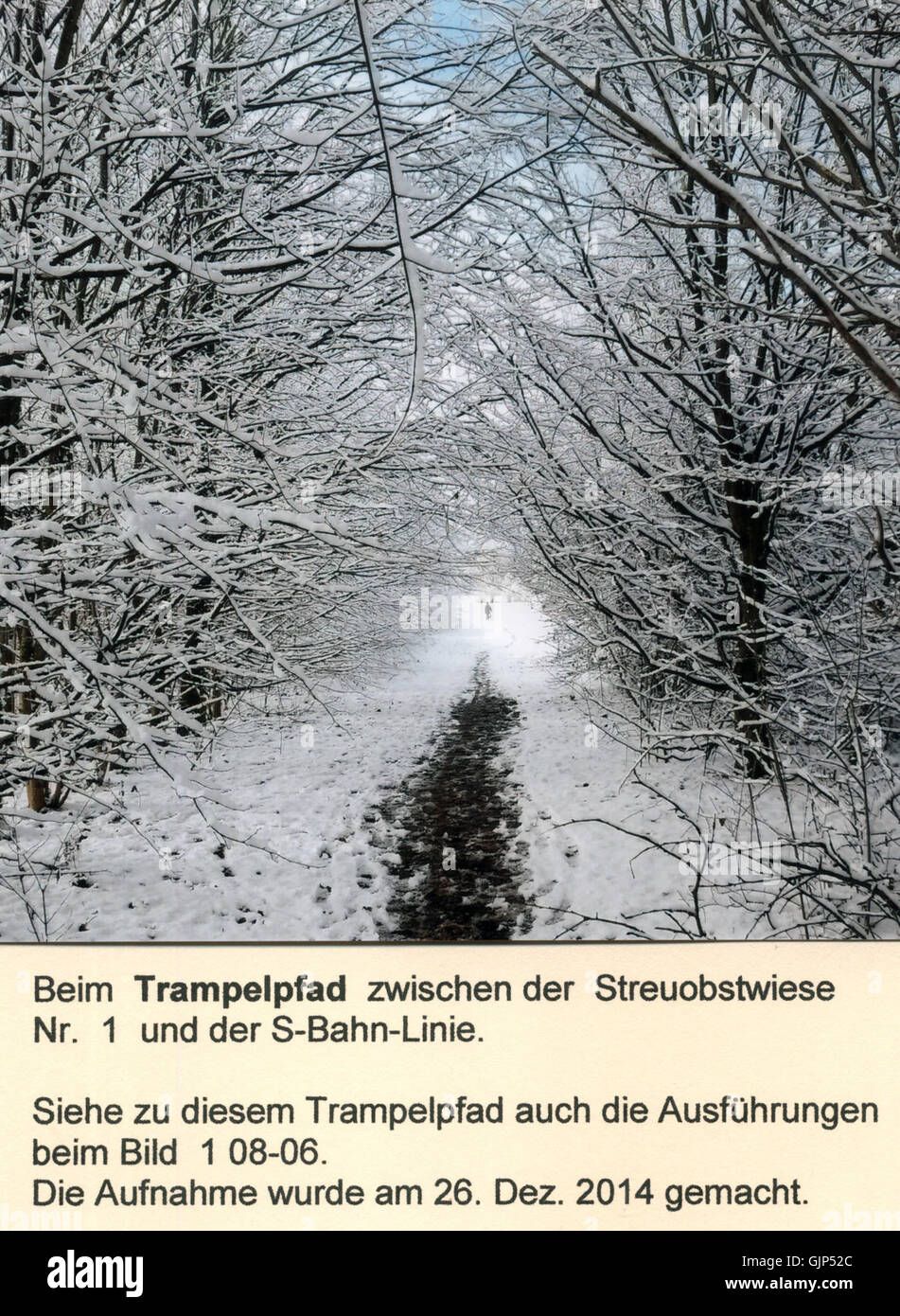 Una fotografia scattata lungo un sentiero a piedi (Trampelpfad) situato al confine di un'area di conservazione del paesaggio (LSG) in Germania, che mostra elementi naturali e paesaggi rurali. Foto Stock