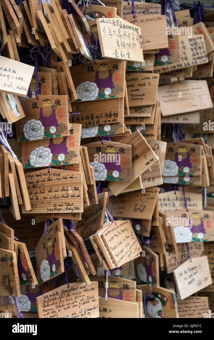 Desiderio di legno le placche (EMA) al Santuario di Toshogu, il parco Ueno, Tokyo, Giappone Foto Stock