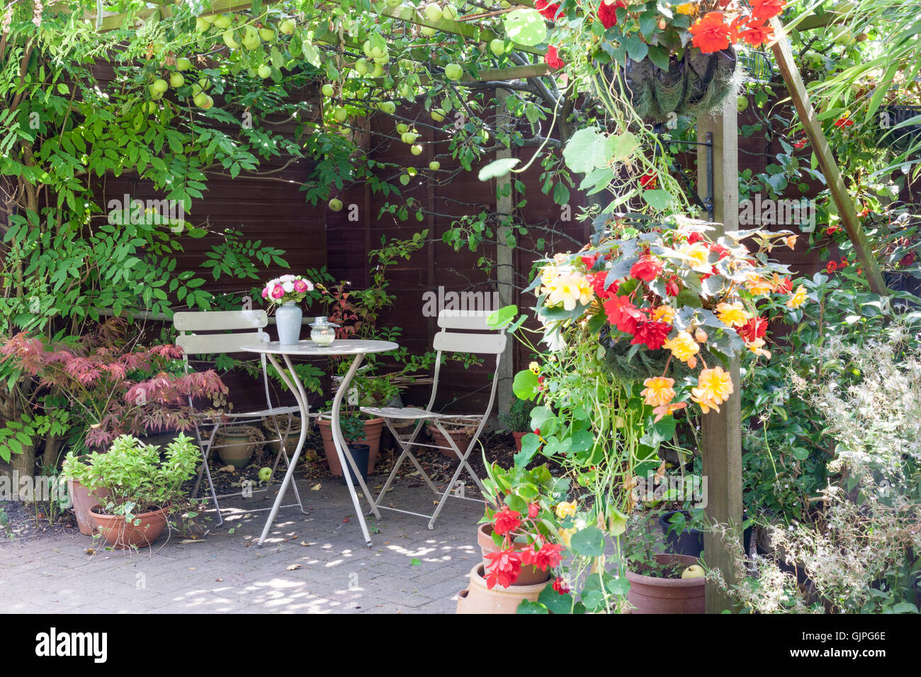 Angolo ombreggiato in un giardino suburbano con sovrastante struttura apple Foto Stock