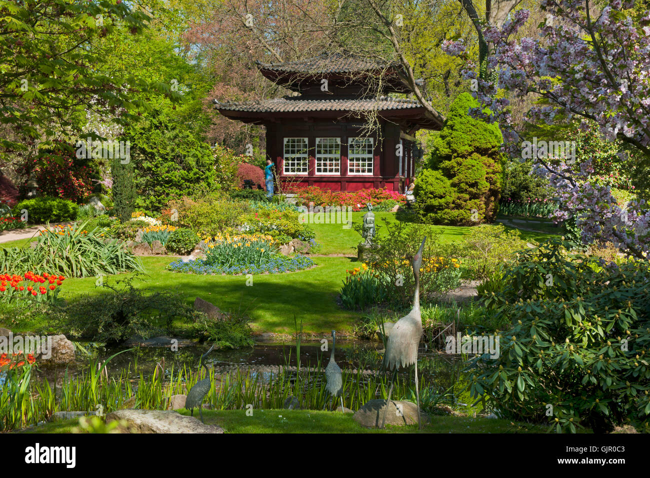Deutschland, NRW, Leverkusen, Japanischer Garten in der Carl-Duisberg-Parkanlage Foto Stock