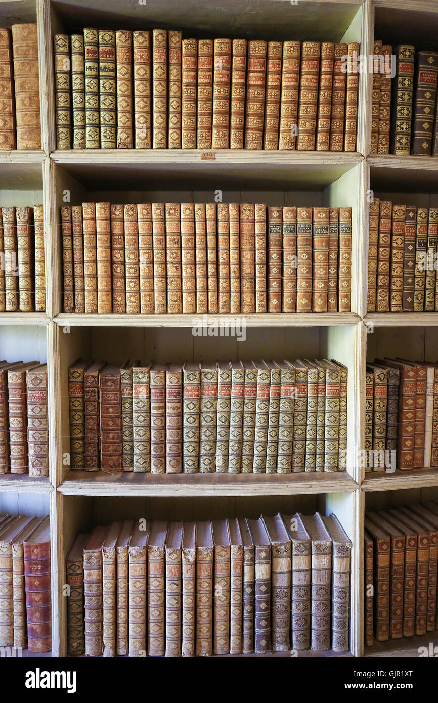 MAFRA, Portogallo - Luglio 17, 2016: vecchi libri nella biblioteca del palazzo di Mafra, Portogallo Foto Stock