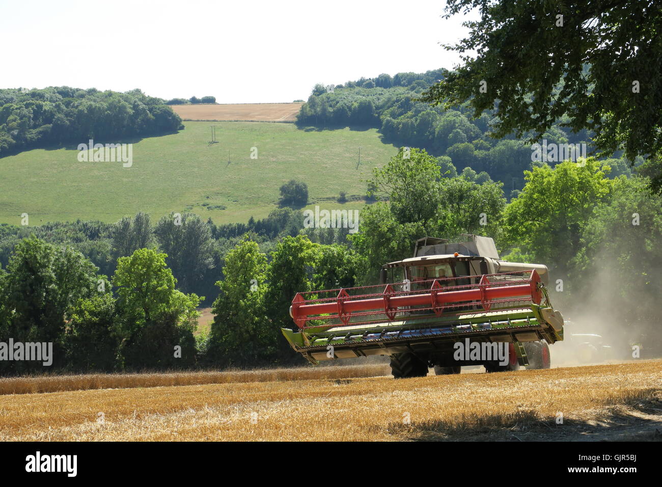 Il grano mietuto vicino Aldbourne nel Wiltshire durante un prolungato sunny incantesimo. Regno Unito Foto Stock