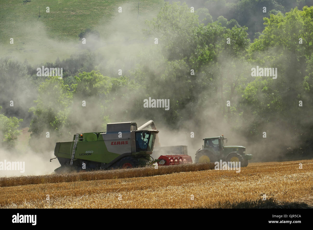Il grano mietuto vicino Aldbourne nel Wiltshire durante un prolungato sunny incantesimo. Regno Unito Foto Stock