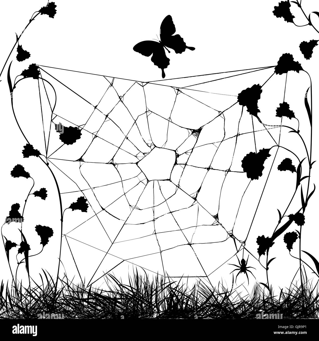 Grungy spider web Foto Stock