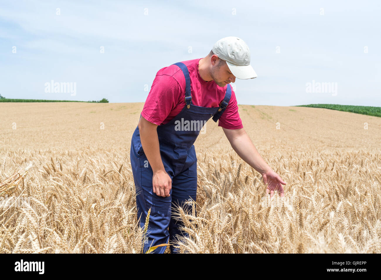 Giovane agricoltore in campi di grano Foto Stock Giovane agricoltore in campi di grano Foto Stock