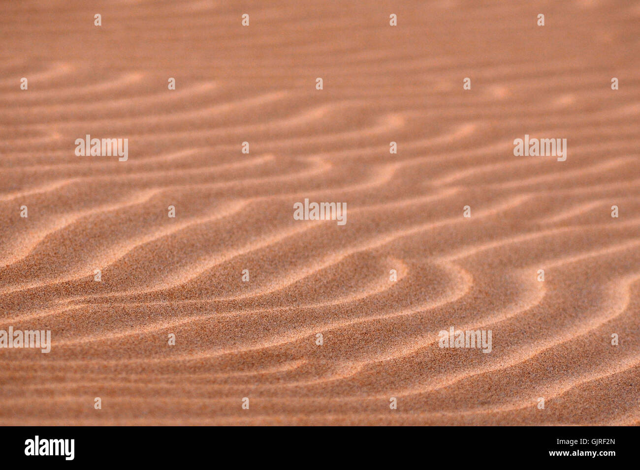 deserto Foto Stock