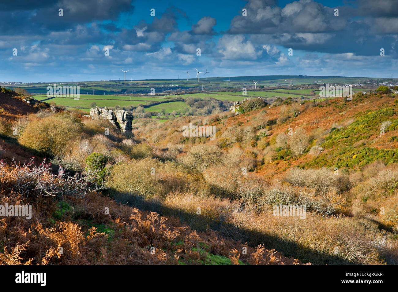 Devil's Leap; Bodmin Moor; Cornovaglia; Regno Unito Foto Stock