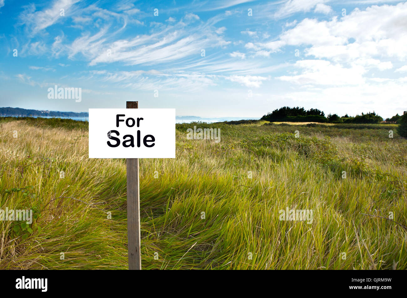 Campo scenario paesaggistico Foto Stock