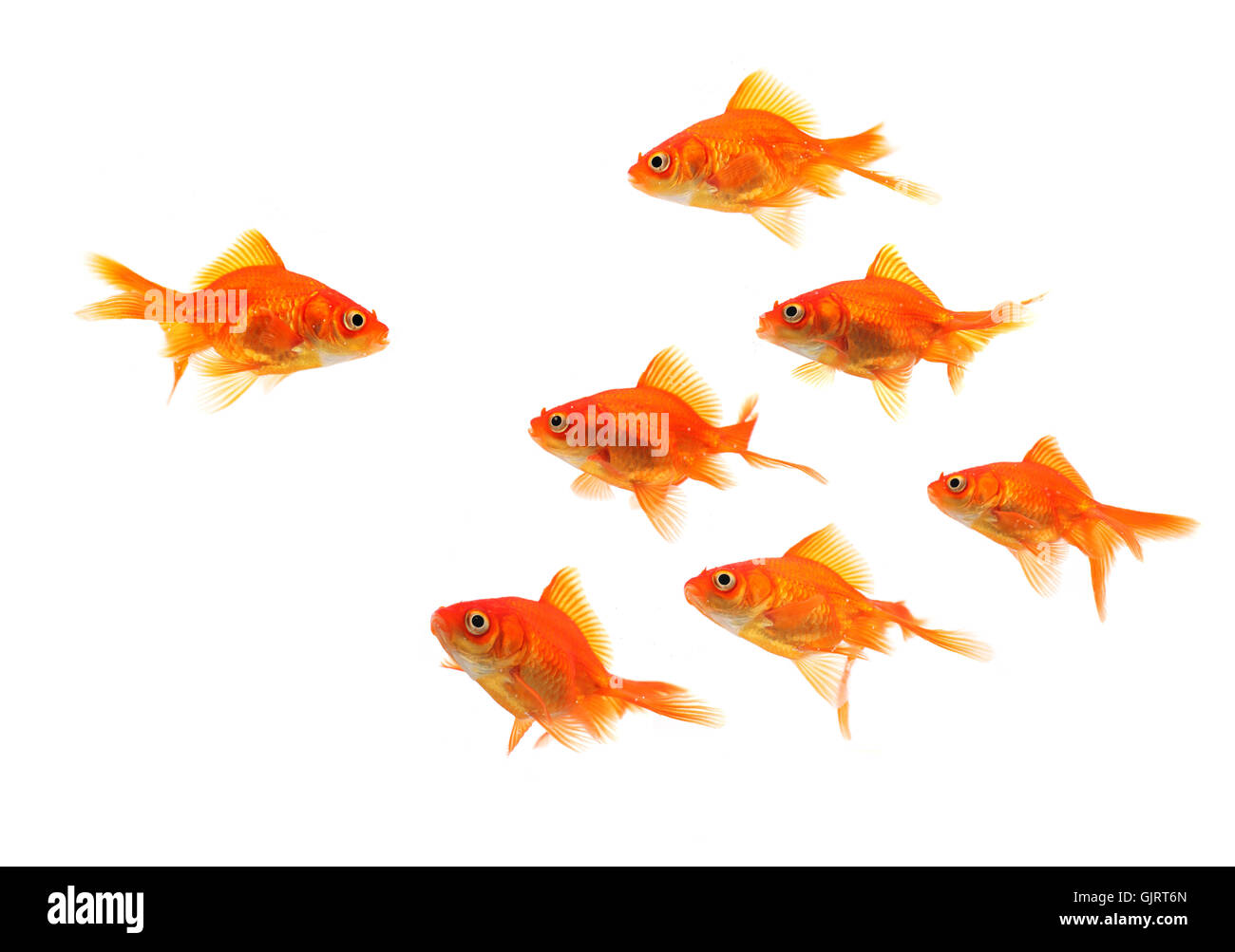 Talk parla di lingua Foto Stock