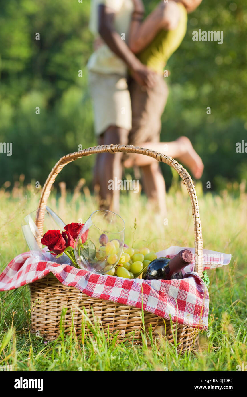 Donna Cesto picnic Foto Stock