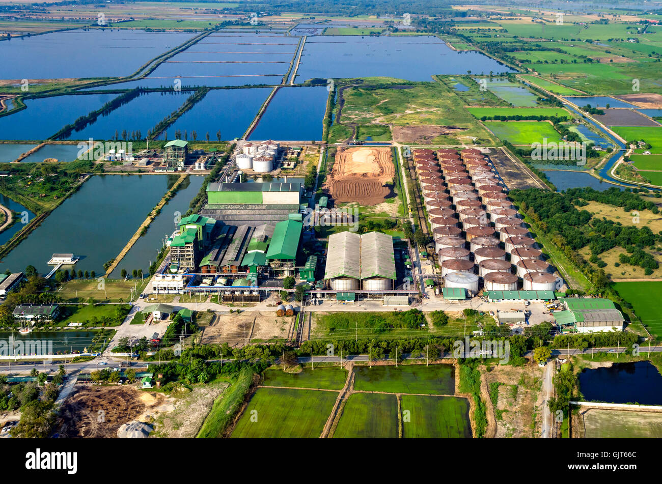La fotografia aerea di allevamento e agricoltura in Thailandia Foto Stock