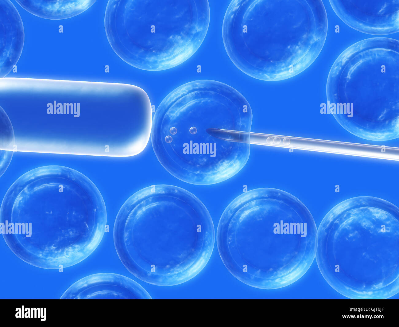 La scienza della biologia cellulare Foto Stock