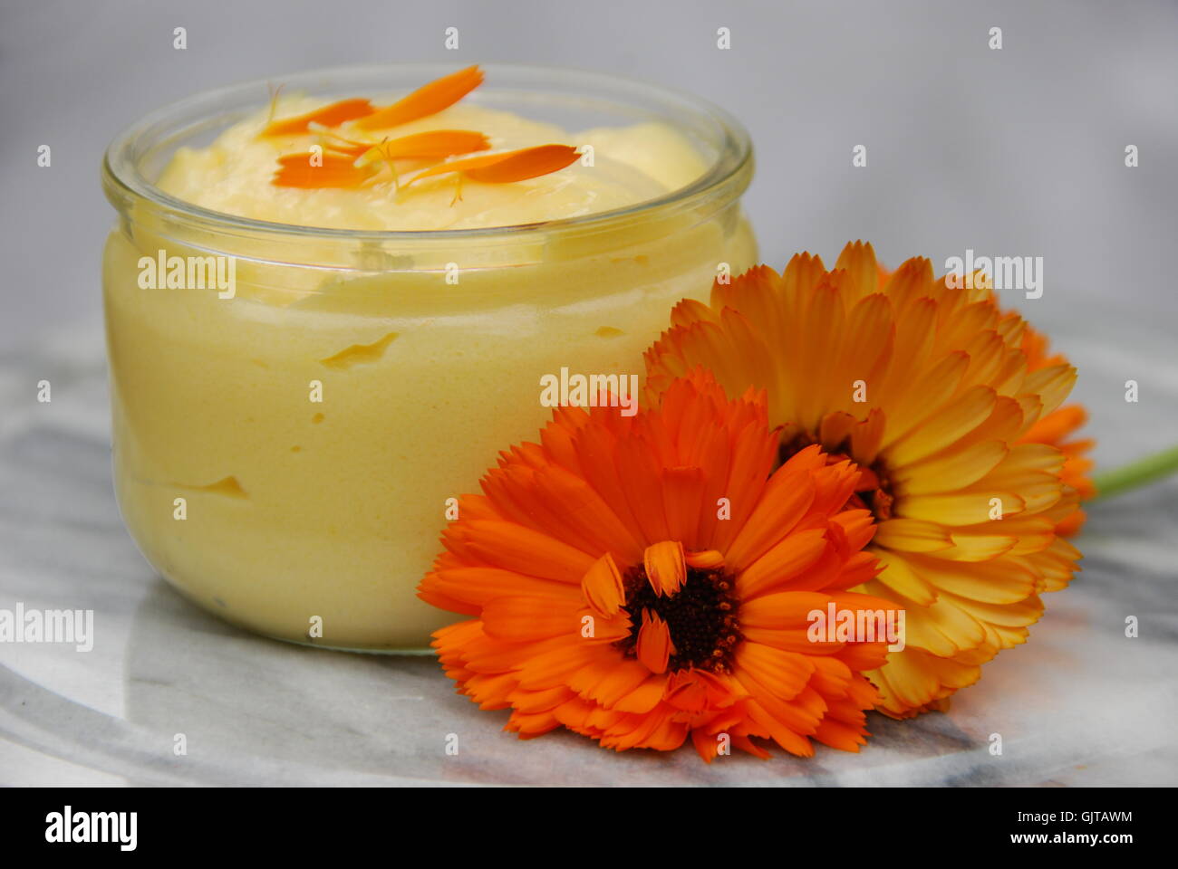 Ringelblumensalbe Foto Stock