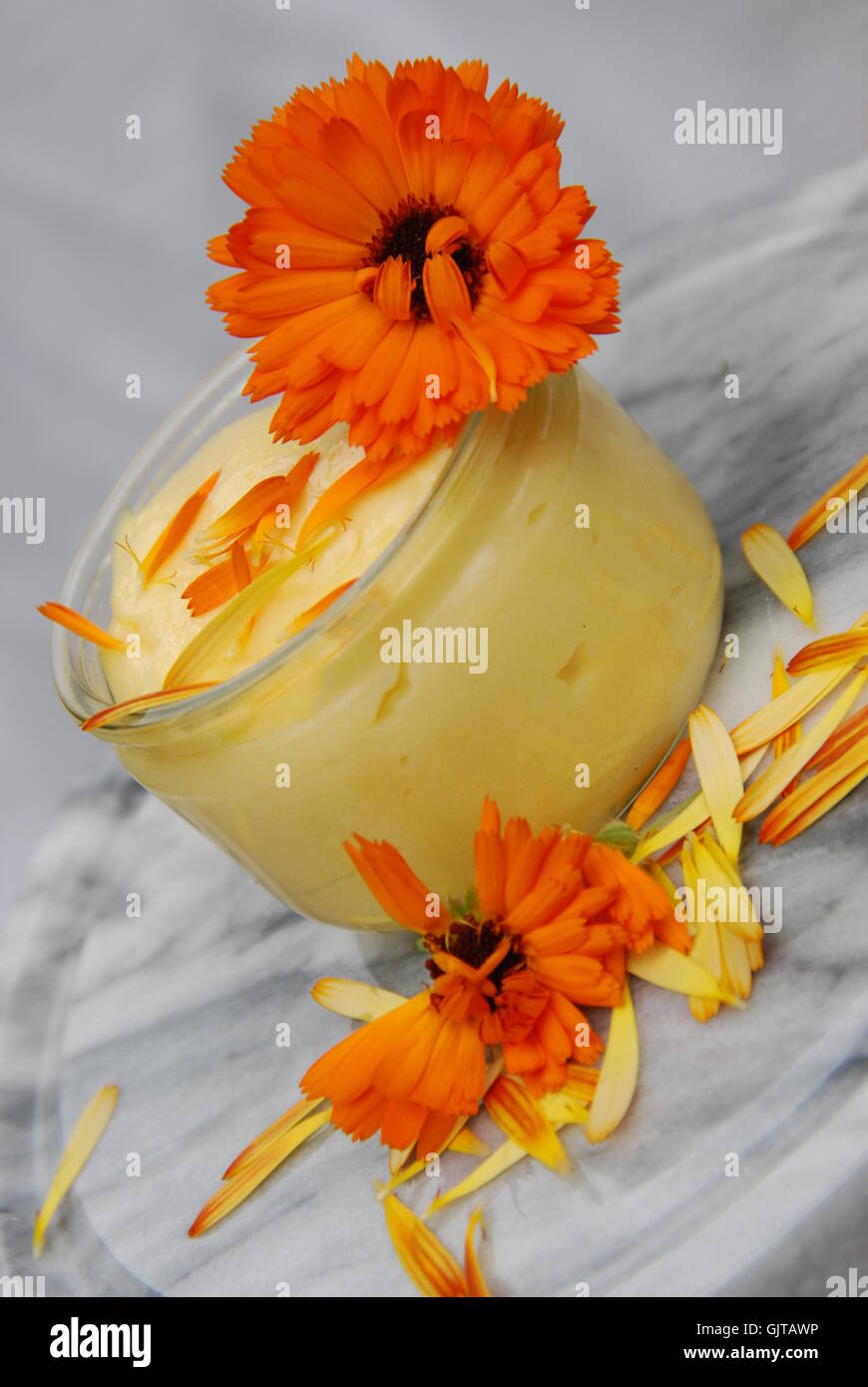 Ringelblumensalbe Foto Stock