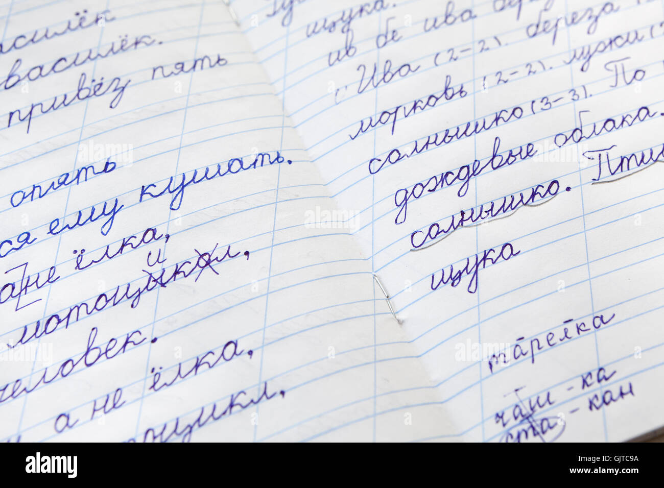 Taccuino della scuola dei bambini con le frasi e le osservazioni scritte russe Foto Stock