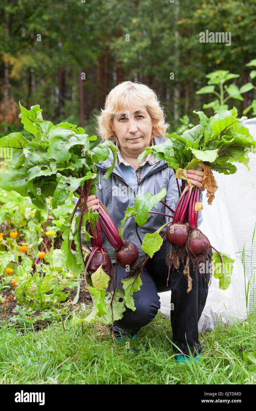 Donna matura un giardiniere seduta con barbabietola in mani in un orto Foto Stock