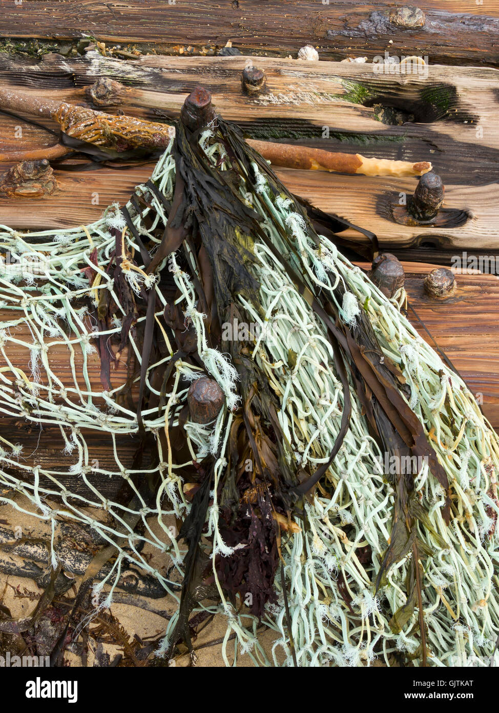 Naufragio driftwood e aggrovigliato vecchia rete da pesca, Balnahard Beach, Isola di Colonsay, Scotland, Regno Unito. Foto Stock