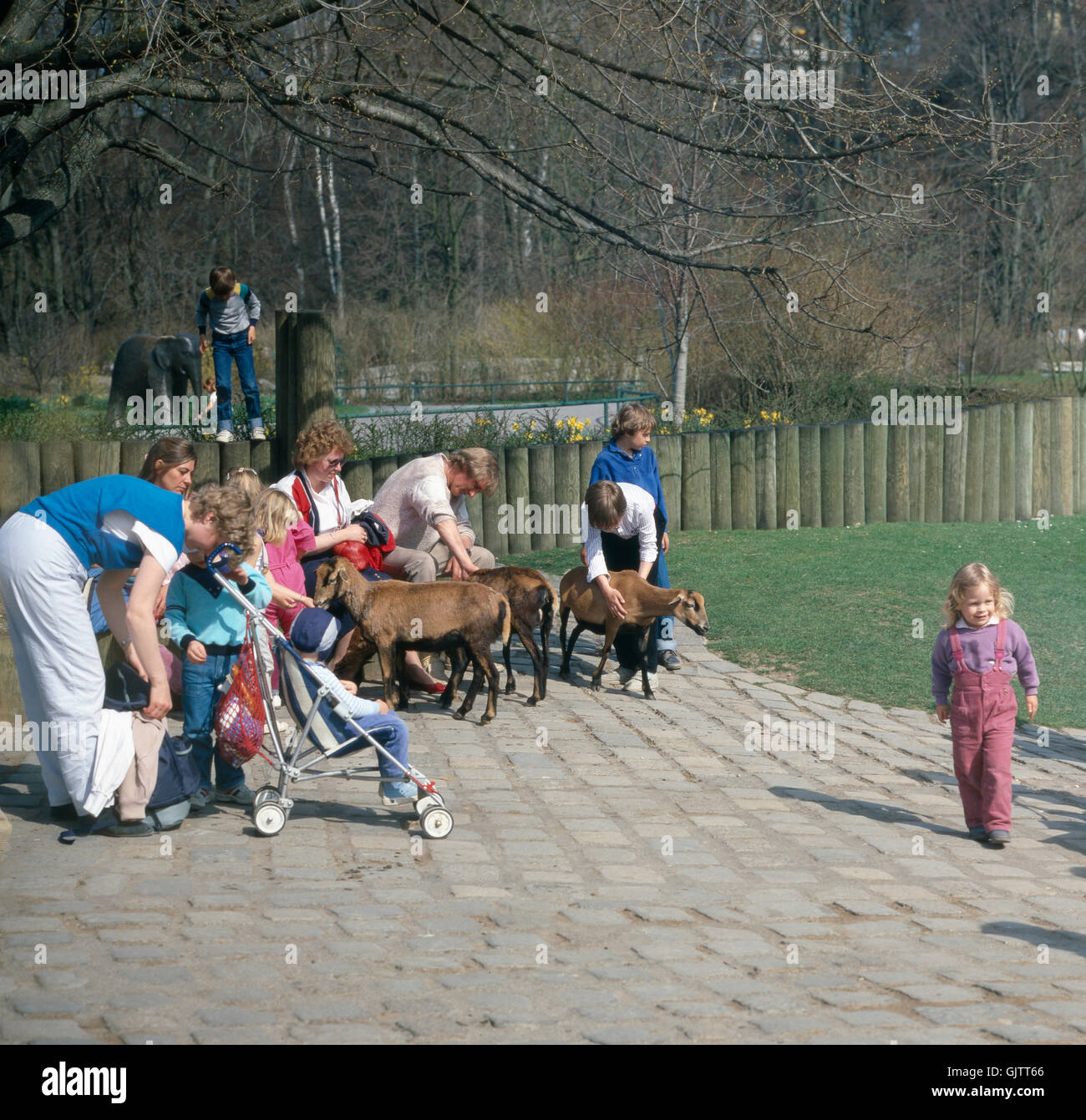 München, 1985. Untergiesing-Harlaching. Tierpark Hellabrunn, Streichelzoo für Kinder. Monaco di Baviera, 1985. Untergiesing-Harlaching distretto. Zoo di Hellabrunn, pet's corner per i bambini. Foto Stock