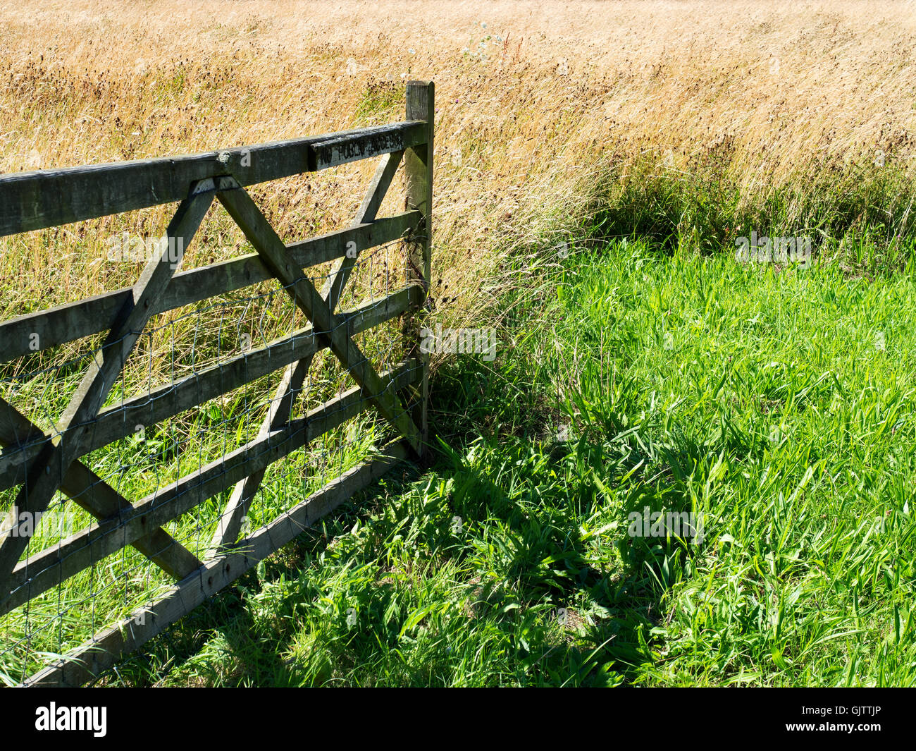 Gate in un prato di erba lunga vicino a Studley Roger Ripon North Yorkshire, Inghilterra Foto Stock