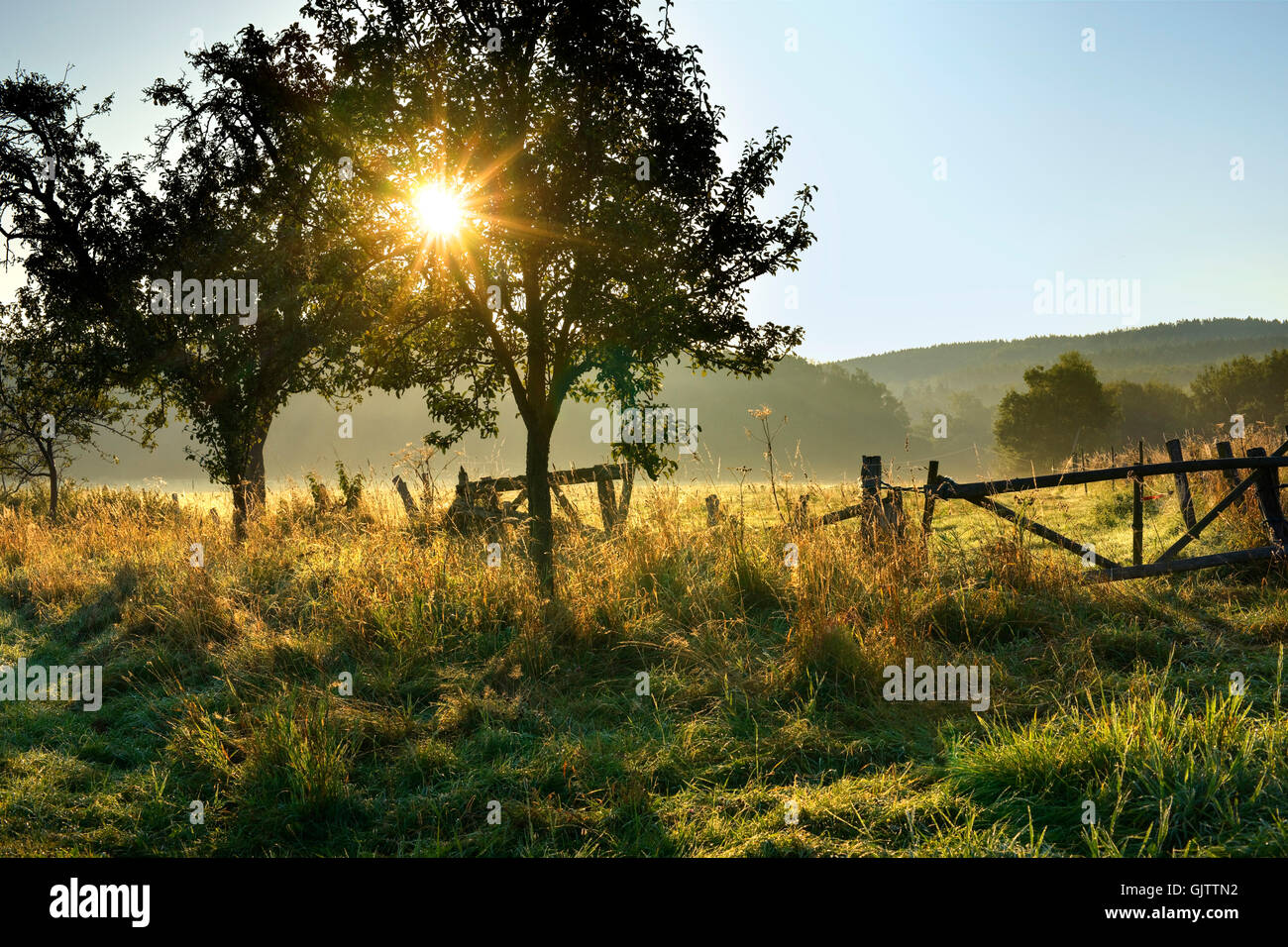 estate indiana Foto Stock