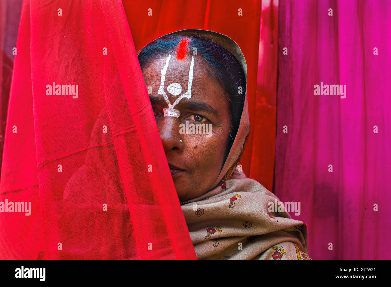 Pellegrini indù a ganga sagar campPeeping transito attraverso sari(panno). Foto Stock