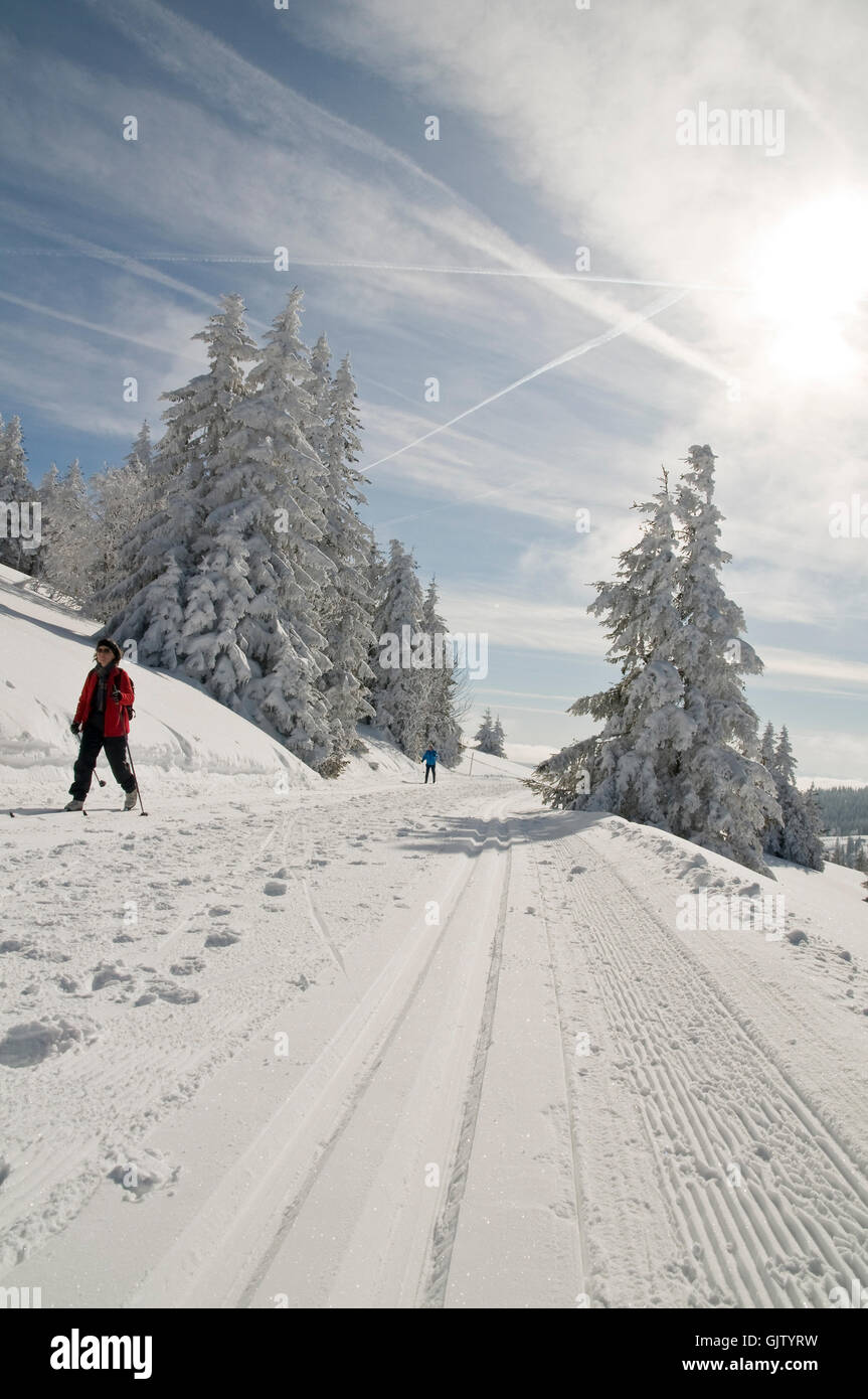 Inverno Sport invernali foresta nera Foto Stock