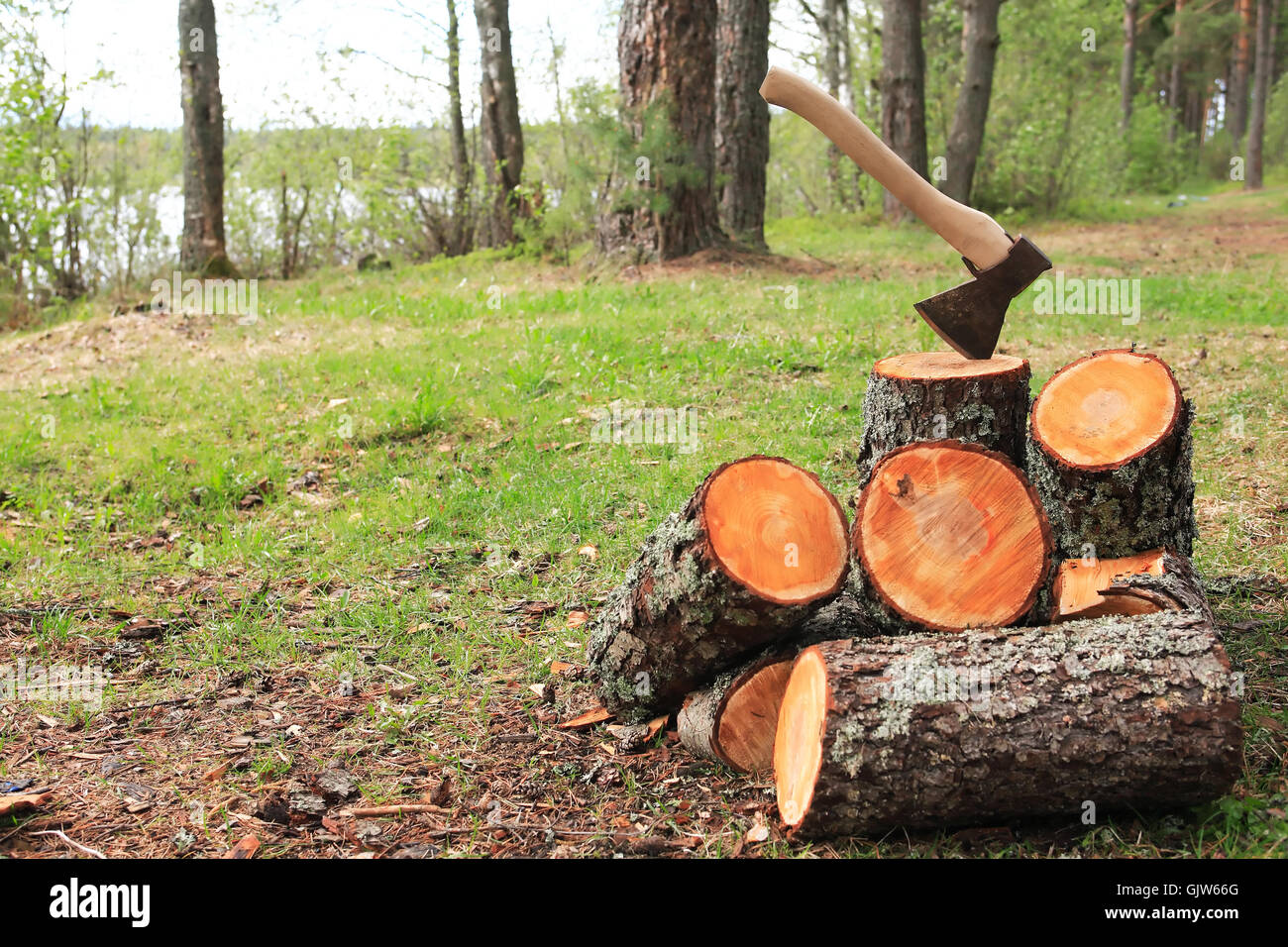 Legna da ardere frazionamento. Pila di tronchi con ax sul verde radura nel bosco Foto Stock