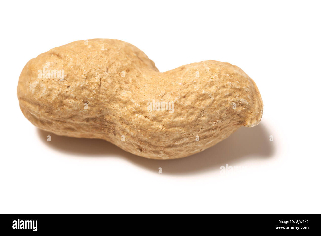 Cibo aliment shell Foto Stock