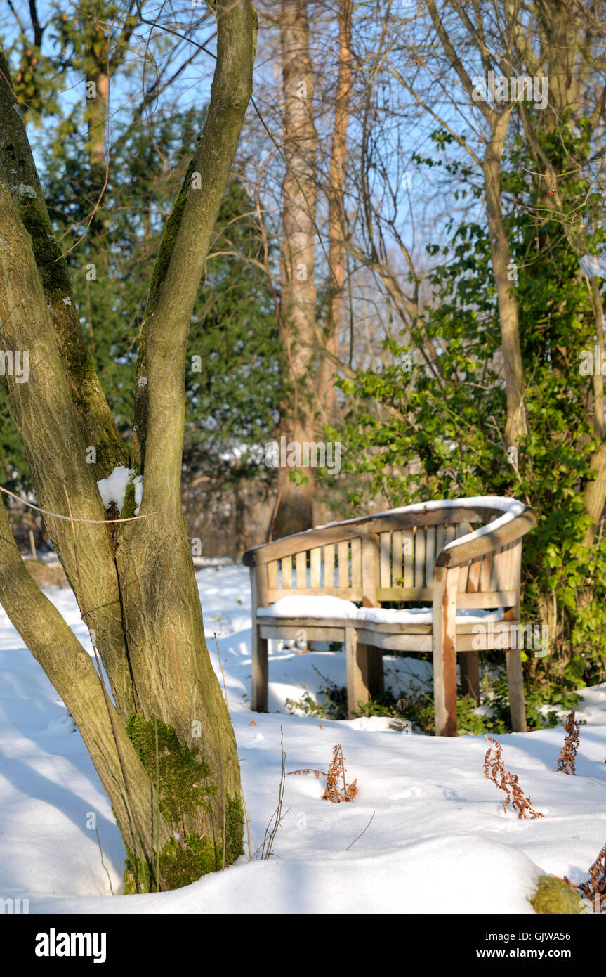 Panchina da giardino in inverno Foto Stock
