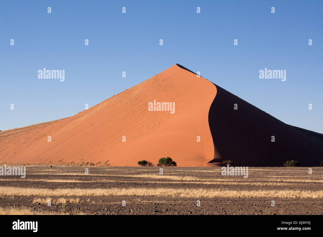 Le dune rosse di Namibia Foto Stock