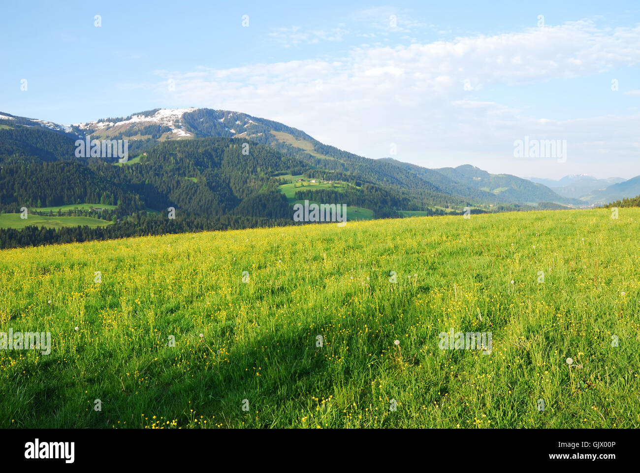 Montagne alpi austria Foto Stock